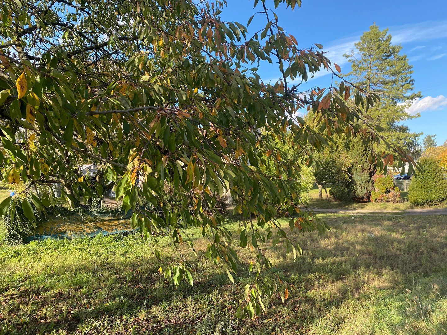 terrain de 576m2 en vente à FAY-AUX-LOGES (45450)