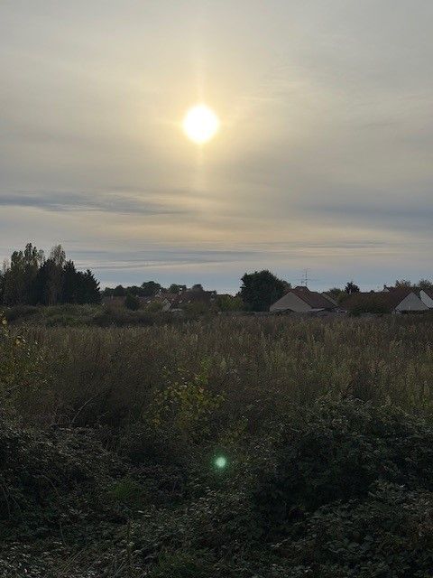 Très beau terrain à batir de 521m2 à SAINT-JEAN-LE-BLANC