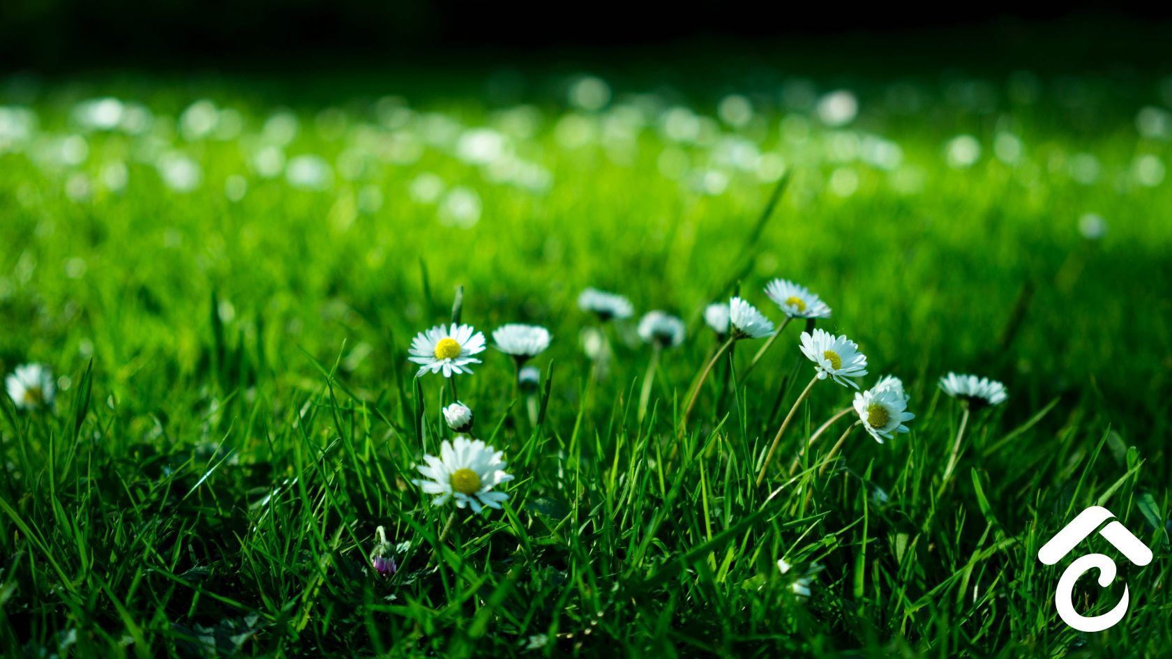 terrain à SANDILLON (45640)