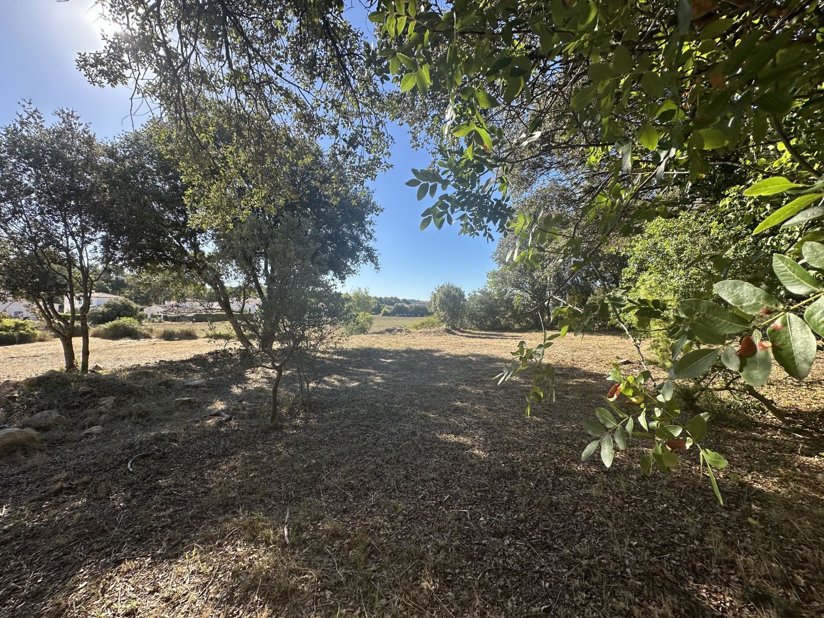 terrain à batir à JOUQUES (13490)
