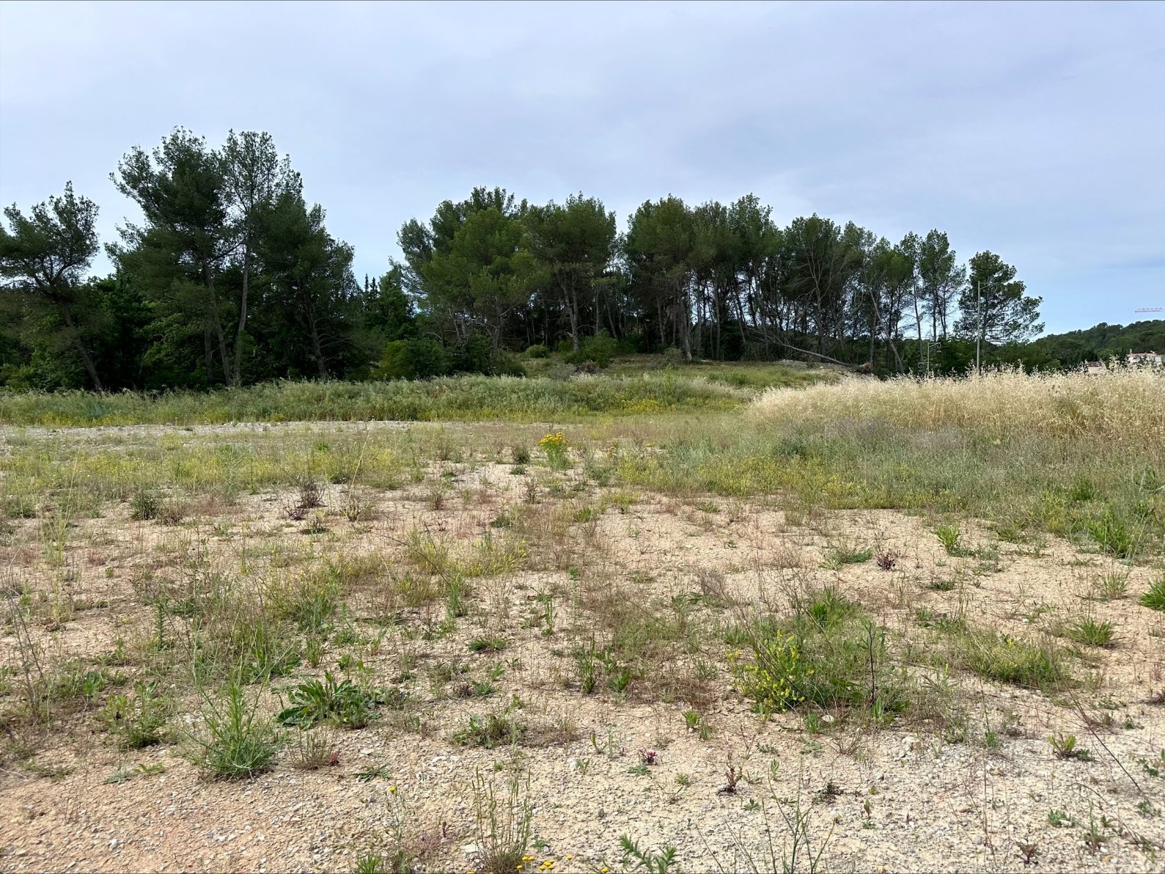 terrain à construire de 980m2 en vente à PEYNIER (13790)