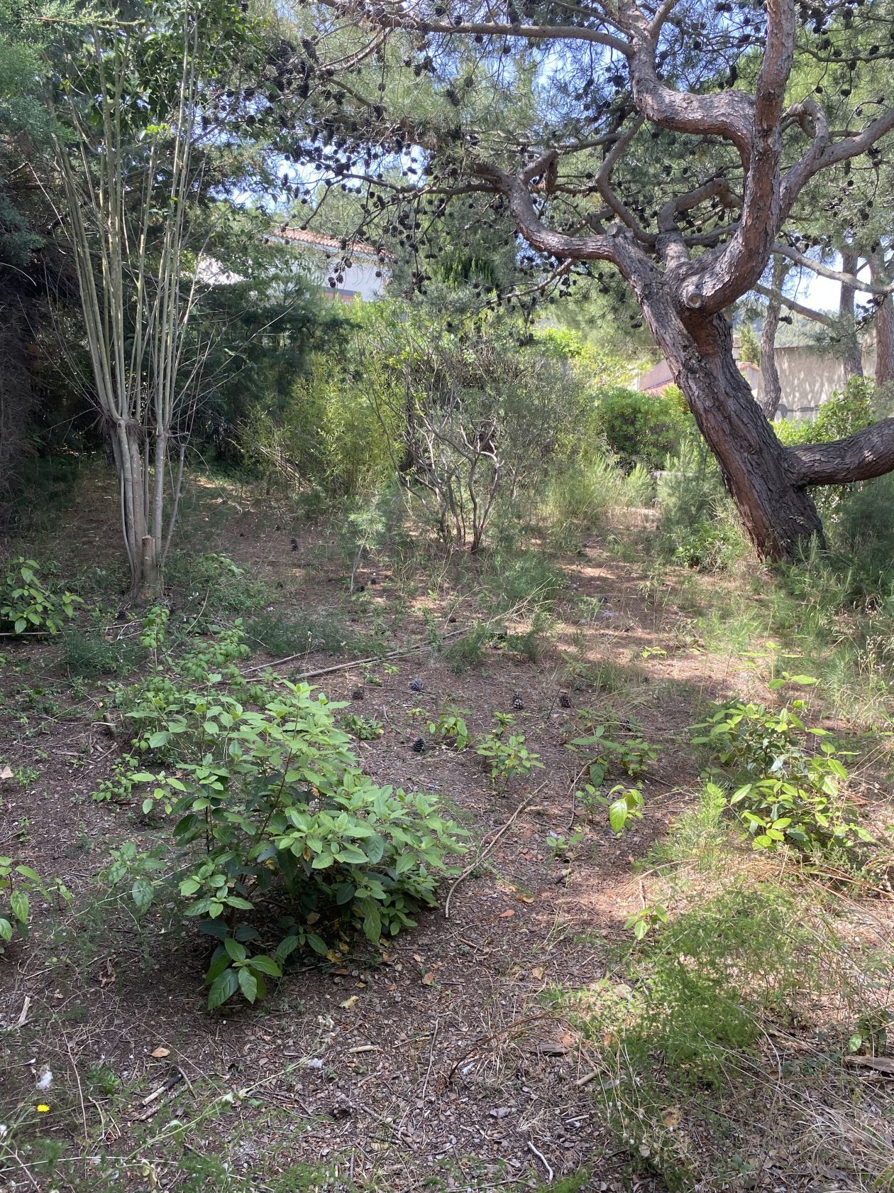 terrain viabilisé à LE ROVE (13740)