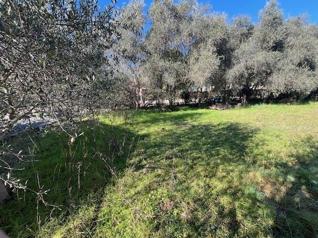 terrain viabilisé en vente à GRASSE