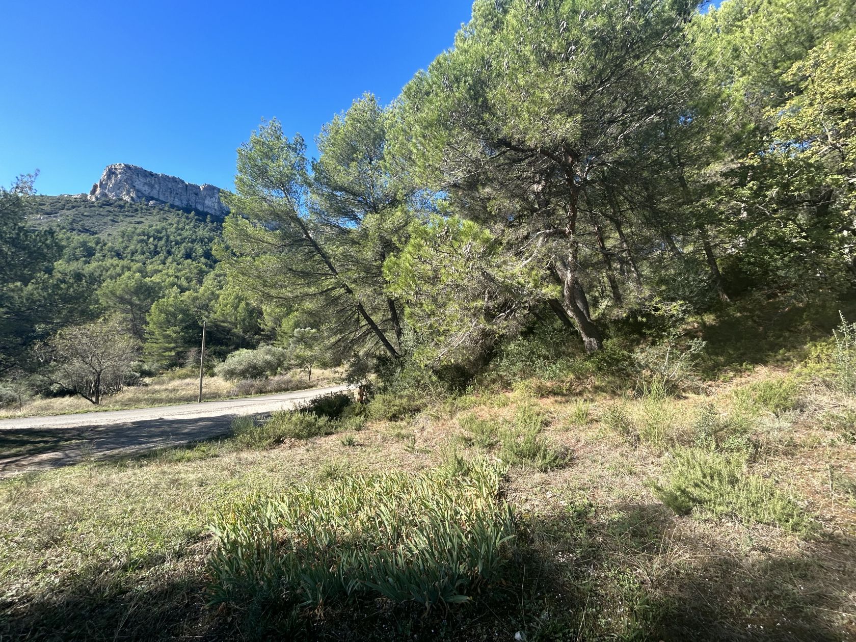 Joli terrain à batir viabilisé de 855m2 en vente à CADOLIVE (13950)