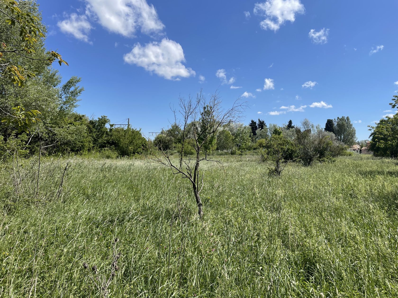 terrain constructible viabilisé en vente à SENAS