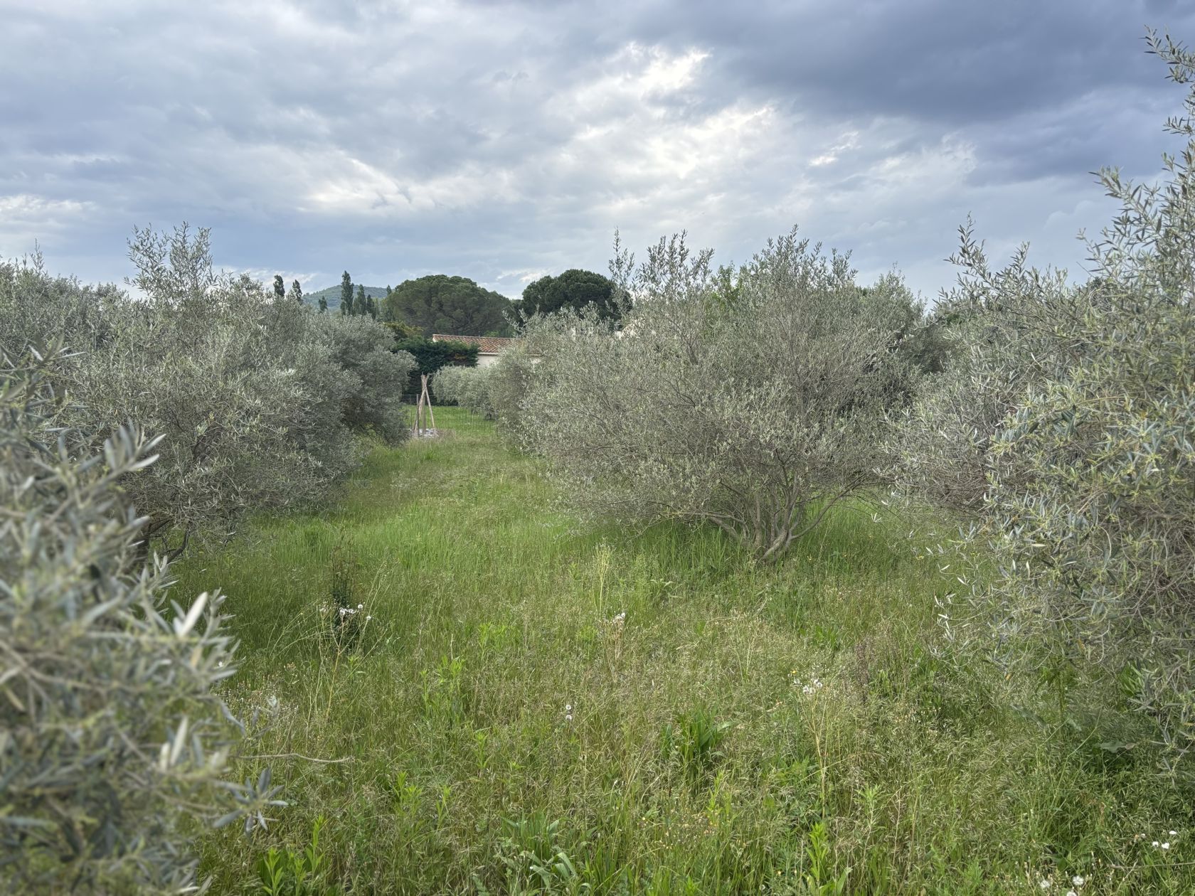 terrain disponible à MALLEMORT