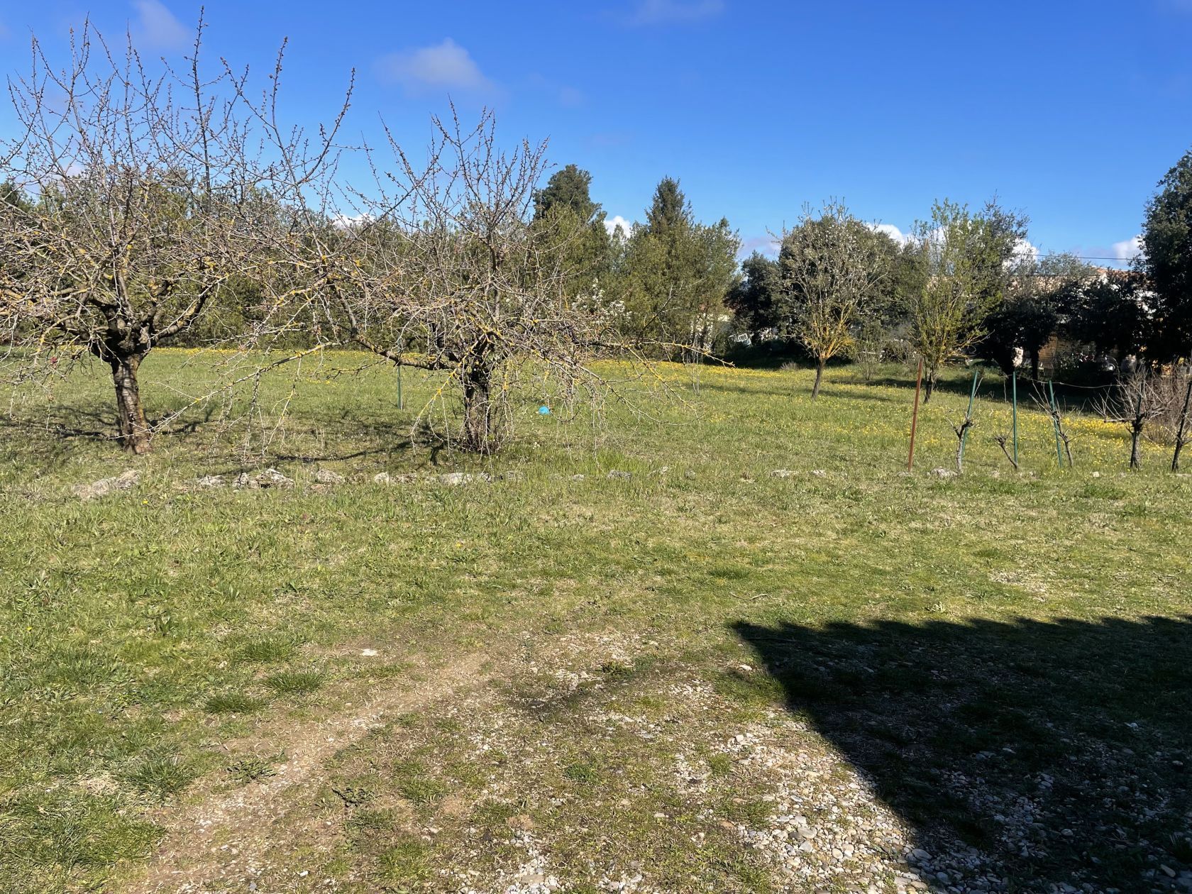 terrain constructible en vente à VERNEGUES (13116)