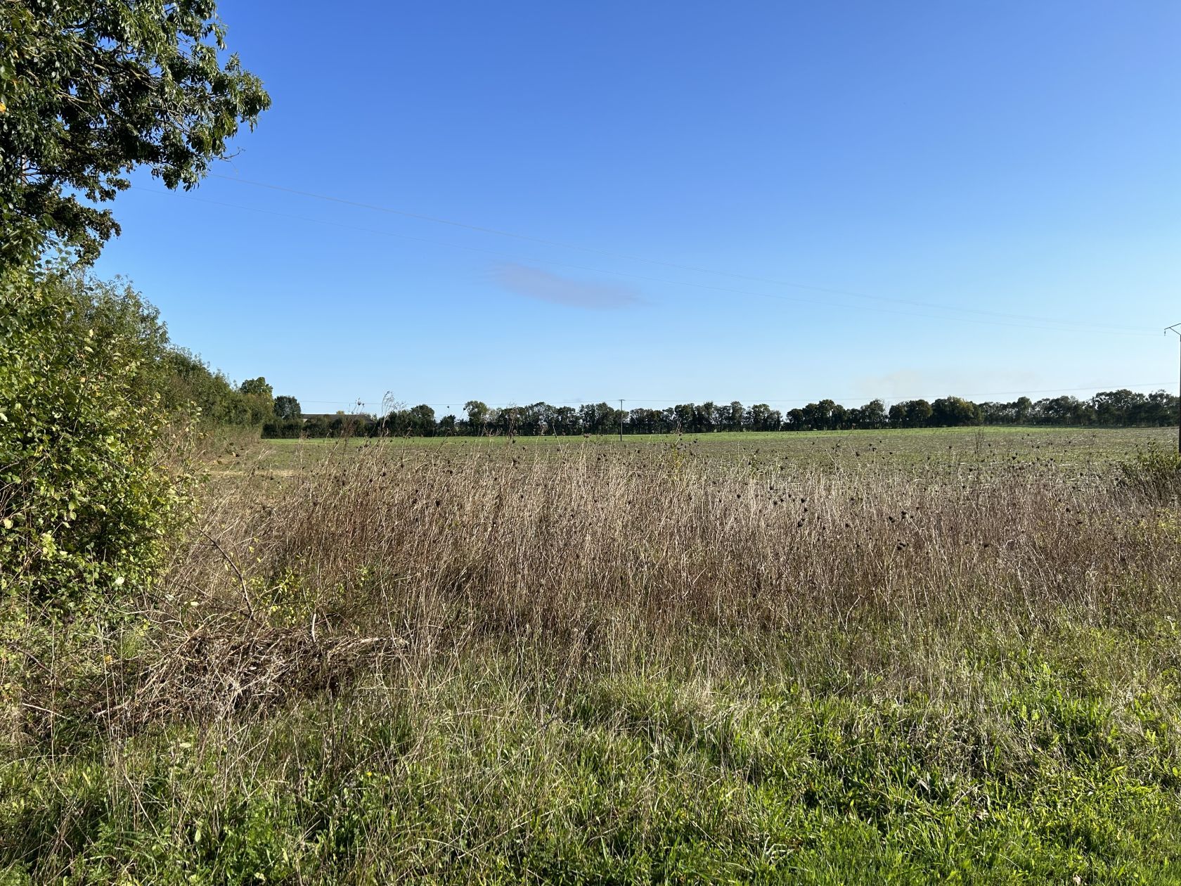 Offre de terrain à batir viabilisé de 220m2 à ANGLIERS