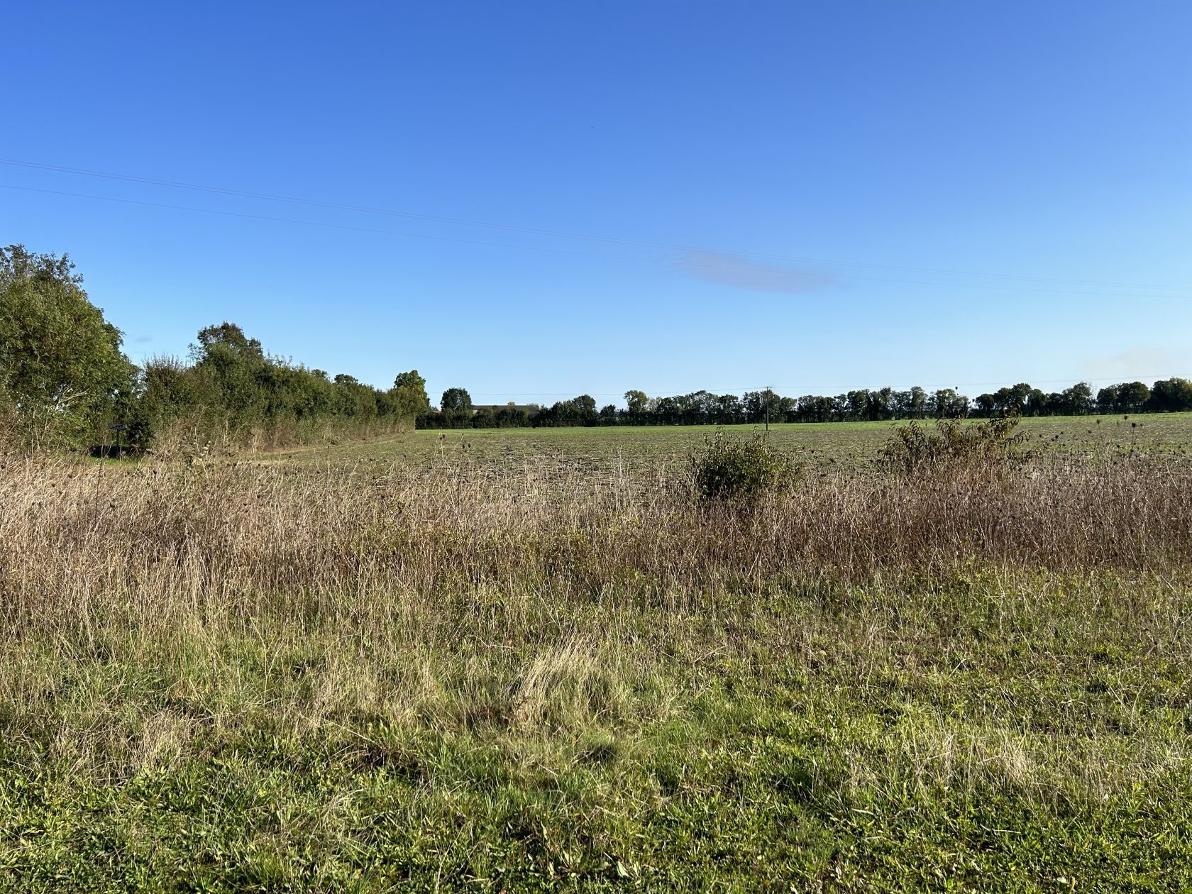 Agréable terrain à construire viabilisé de 372m2 en vente à ANGLIERS