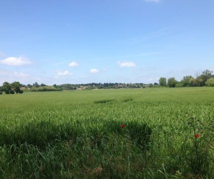 terrain à batir disponible à SAINT-MEDARD-D'AUNIS (17220)