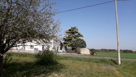 Magnifique terrain à batir disponible à CHAILLEVETTE (17890)