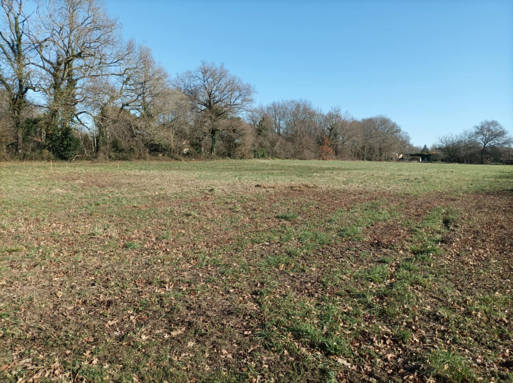 terrain à construire viabilisé de 414m2 en vente à SAUJON (17600)