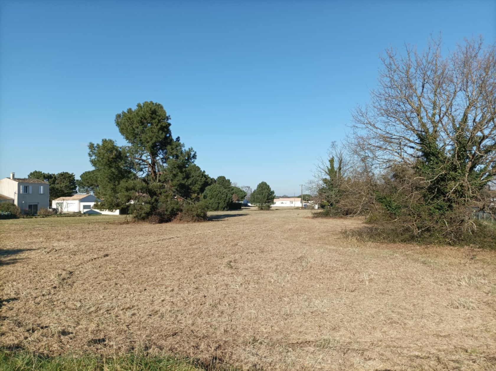 Joli terrain à batir viabilisé de 421m2 à SAINT-AUGUSTIN (17570)