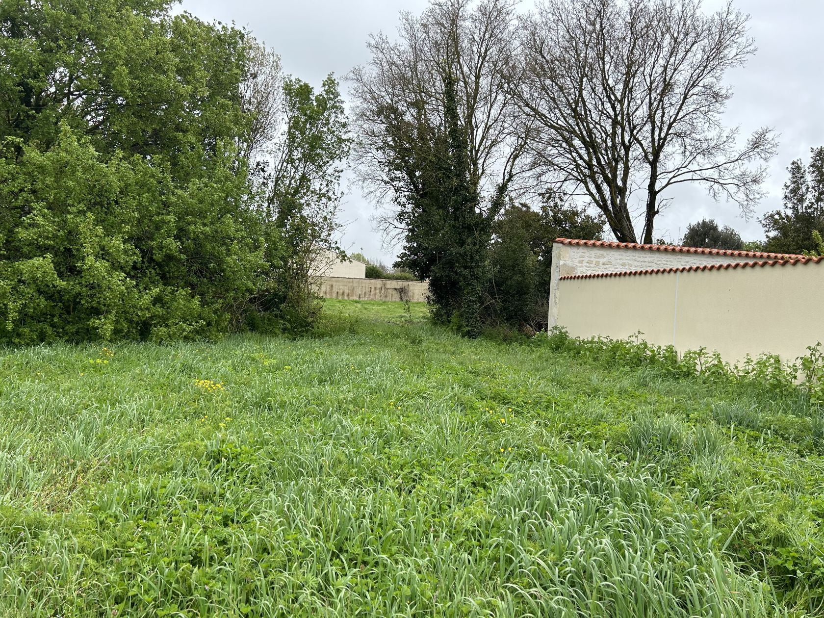 Terrain lot 3 salles sur mer