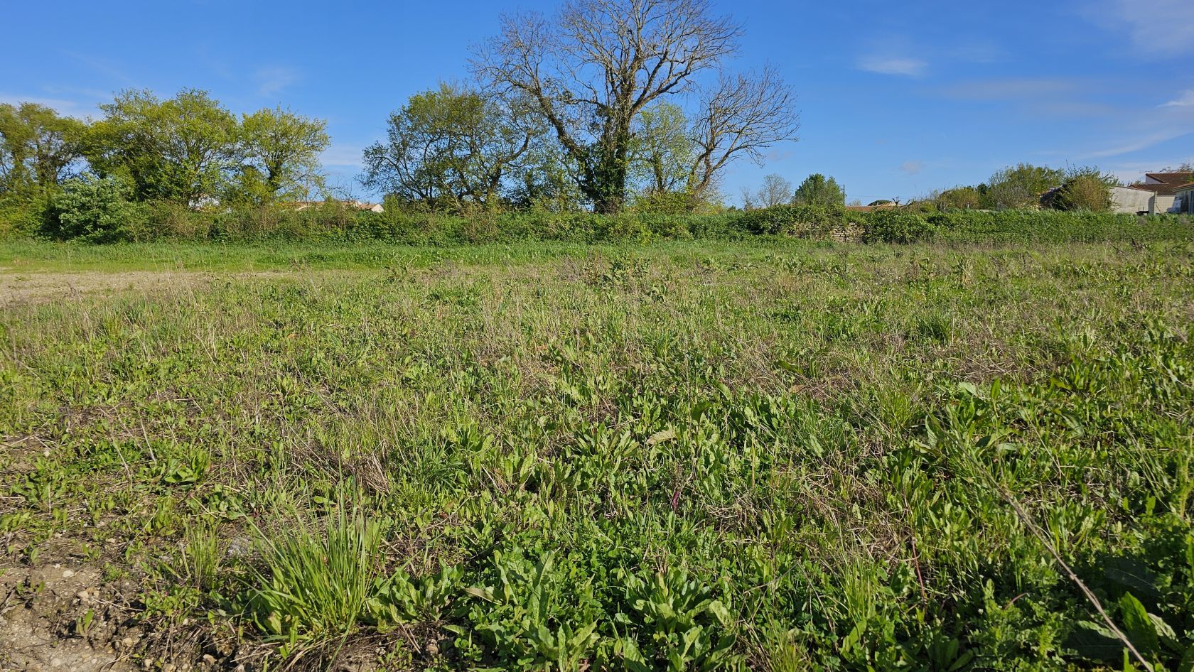 Terrain Maisons Lara Loire les Marais (3)