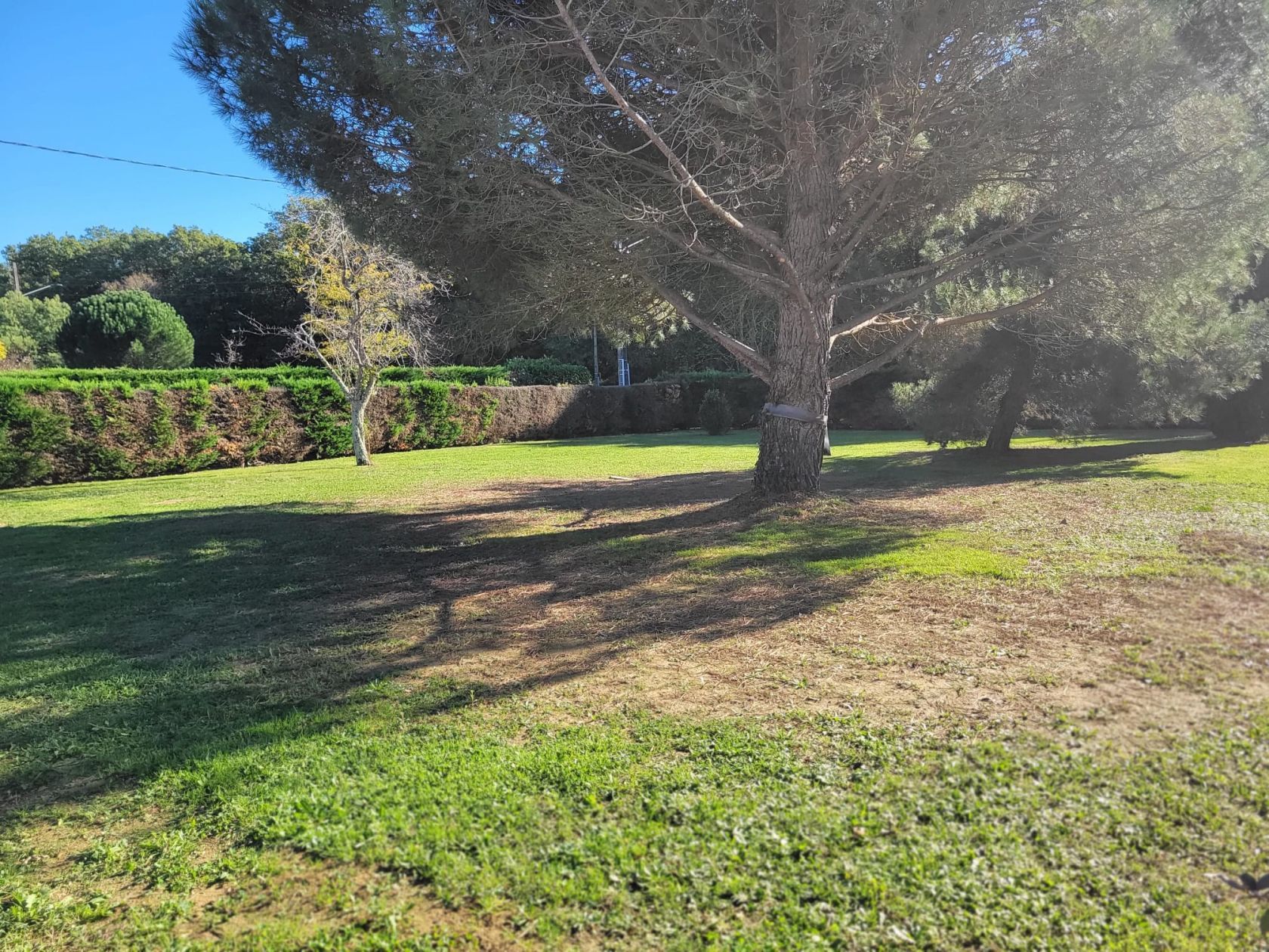 offre terrain + maison