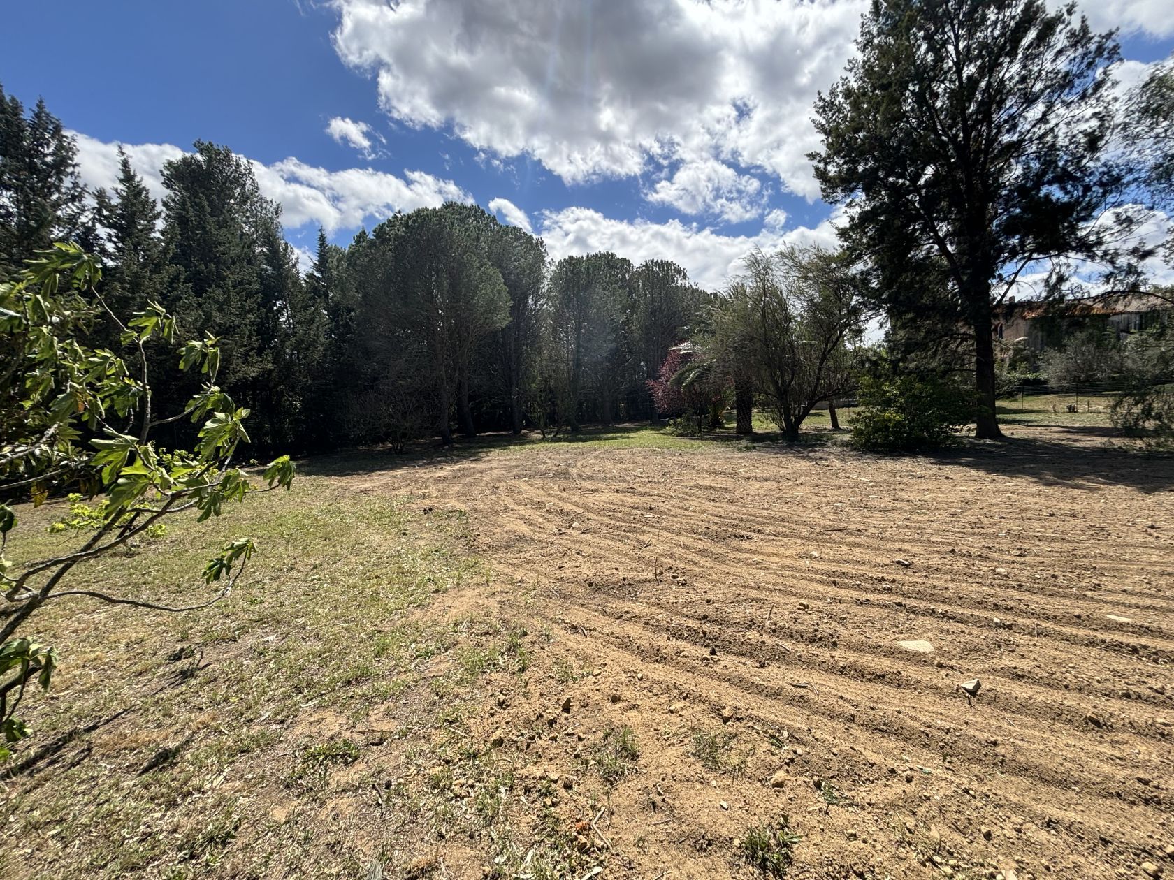 terrain à construire à VILLENEUVE-DE-LA-RAHO (66180)