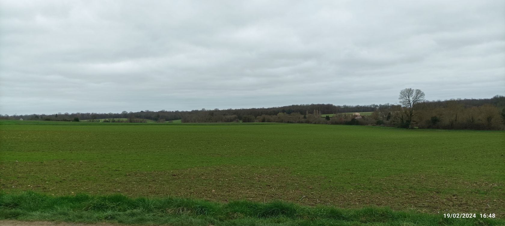 terrain constructible en vente à AVY