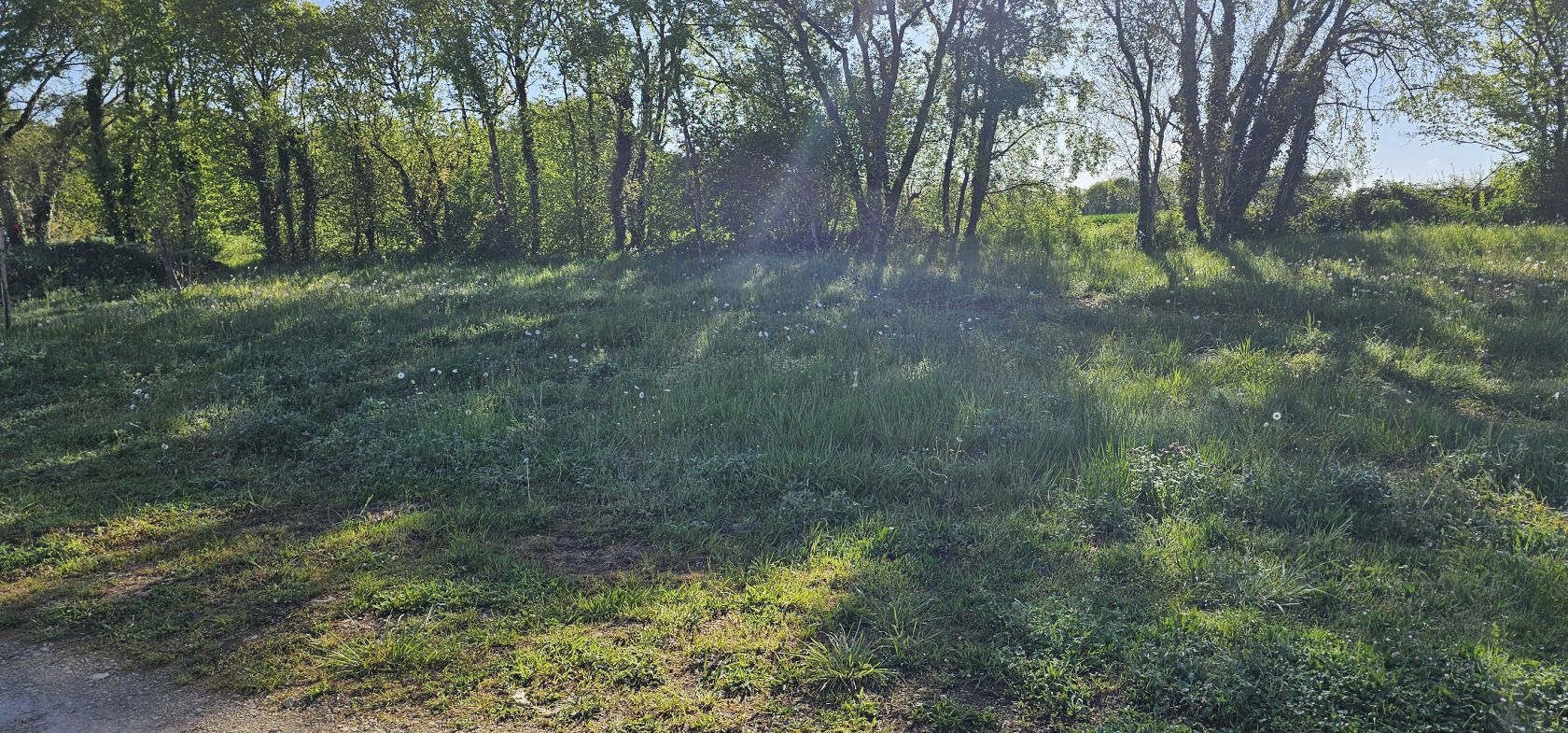 terrain à construire de 510m2 à MORNAC (16600)