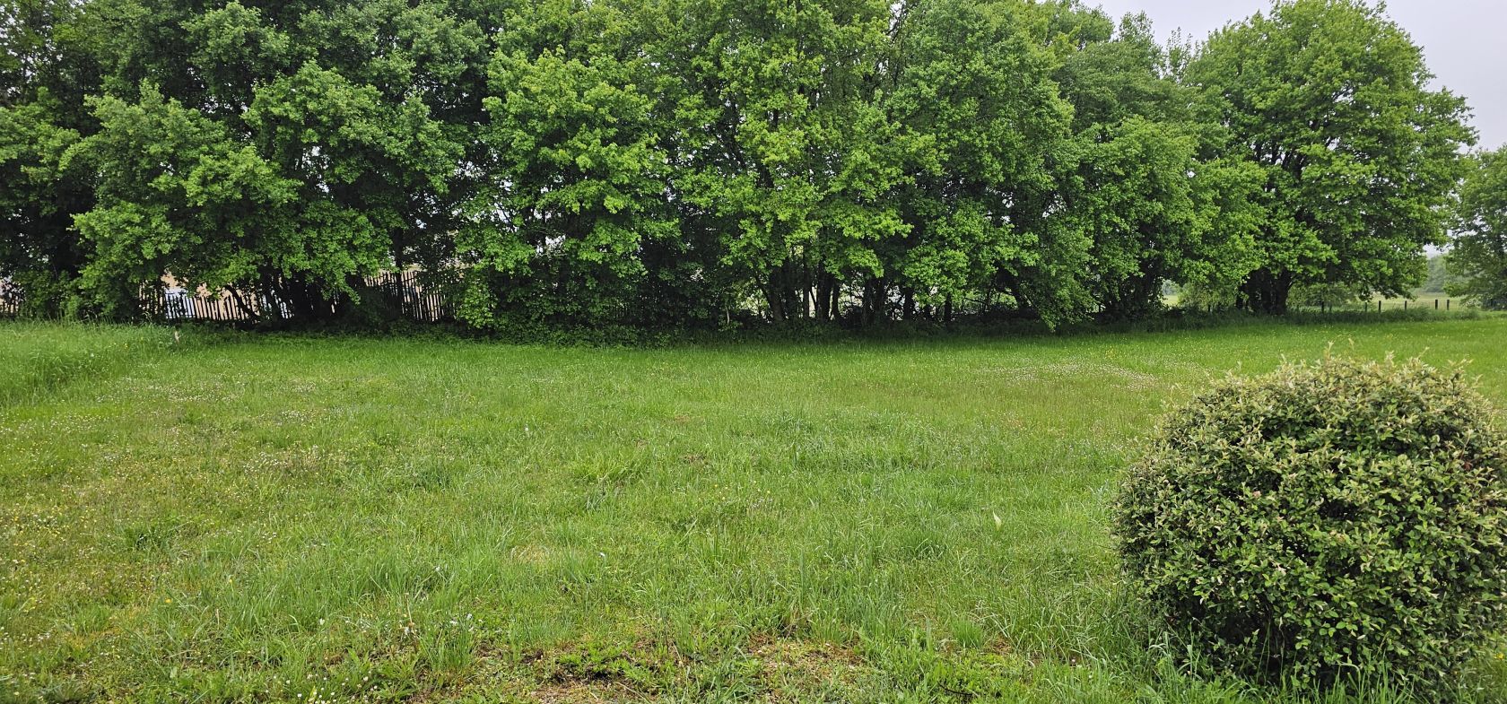 terrain constructible viabilisé de 831m2 disponible à VERTEUIL-SUR-CHARENTE