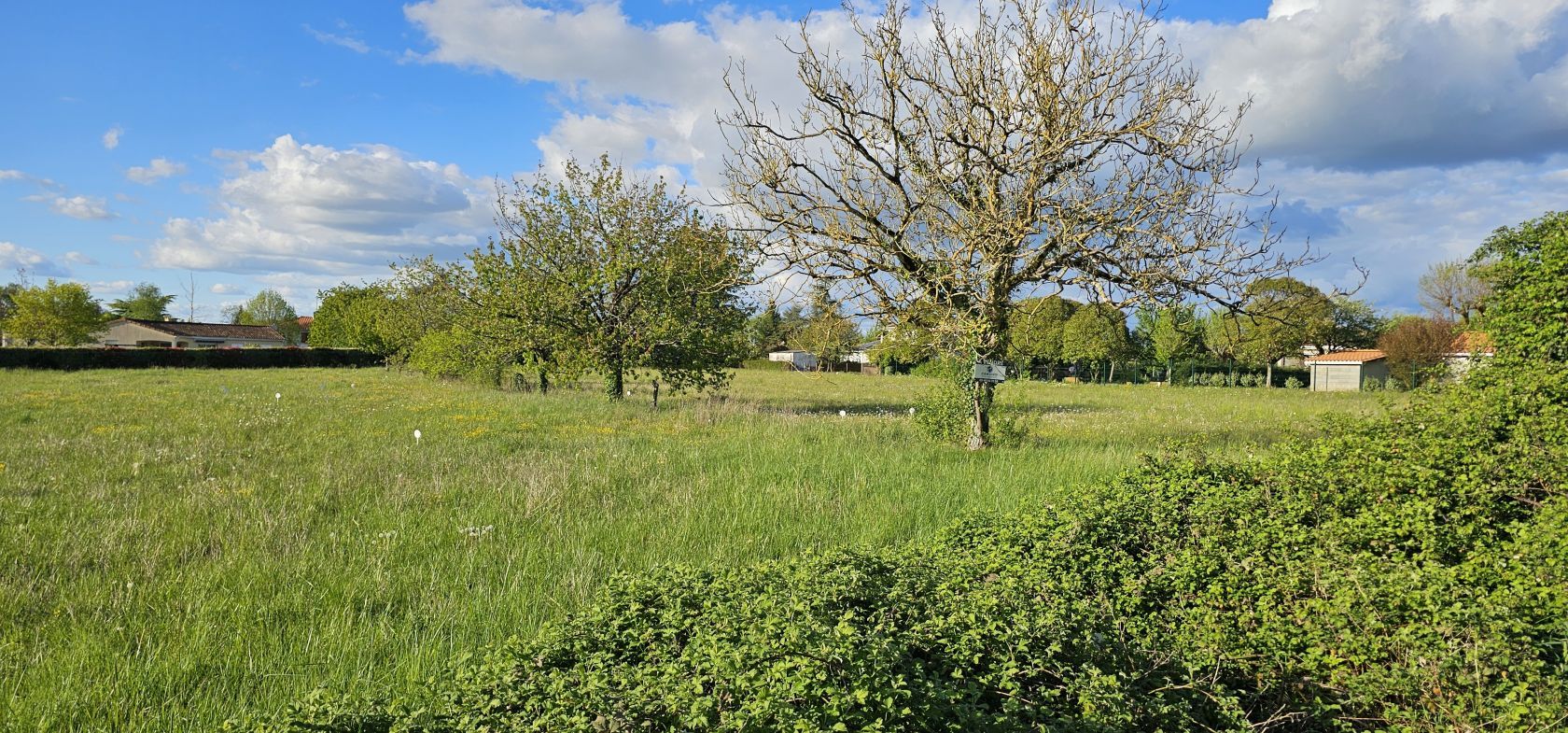 terrain à vendre viabilisé disponible à ROUILLAC