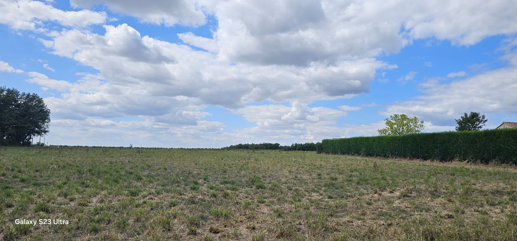 terrain à vendre viabilisé de 1624m2 disponible à RIVIERES (16110)