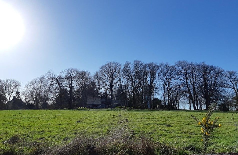 terrain à vendre viabilisé de 610m2 en vente à DINGE (35440)