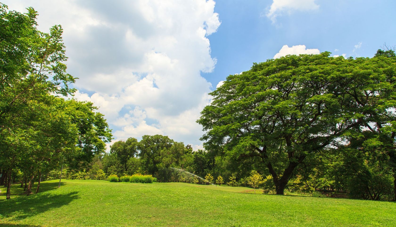 Ravissant terrain à construire en vente à LA ROCHELLE (17000)