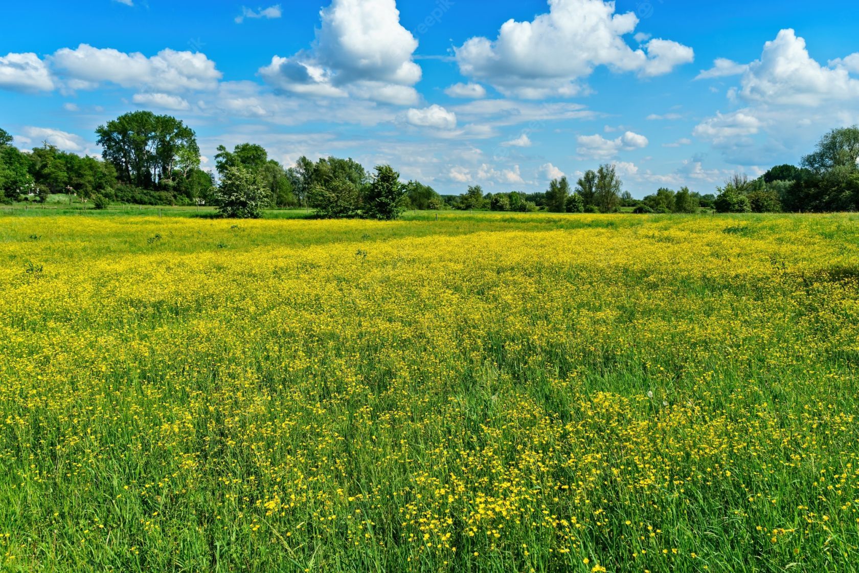 terrain à vendre de 488m2 en vente à TALENSAC
