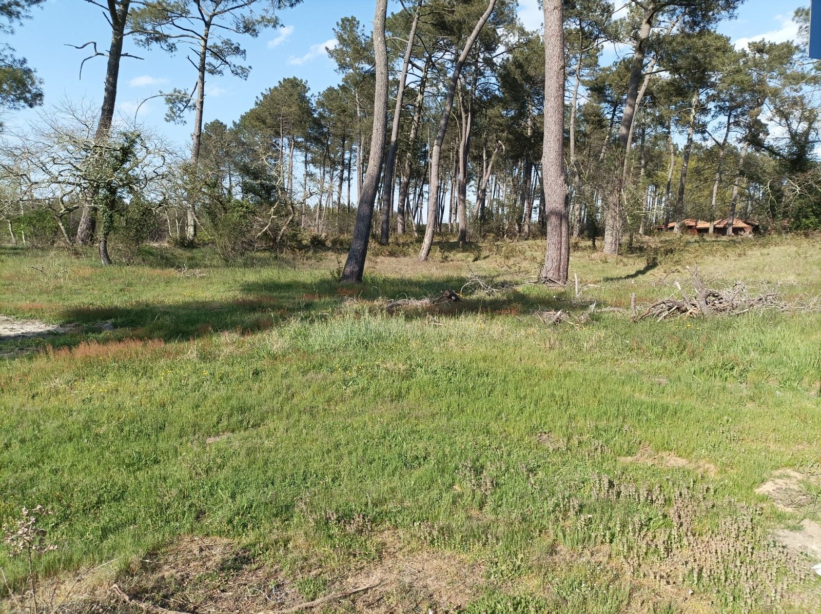 terrain constructible disponible à BISCARROSSE (40600)