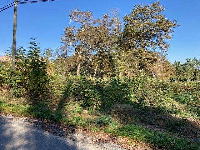 Parcelle de terrain constructible viabilisé de 800m2 en vente à ROAILLAN (33210)