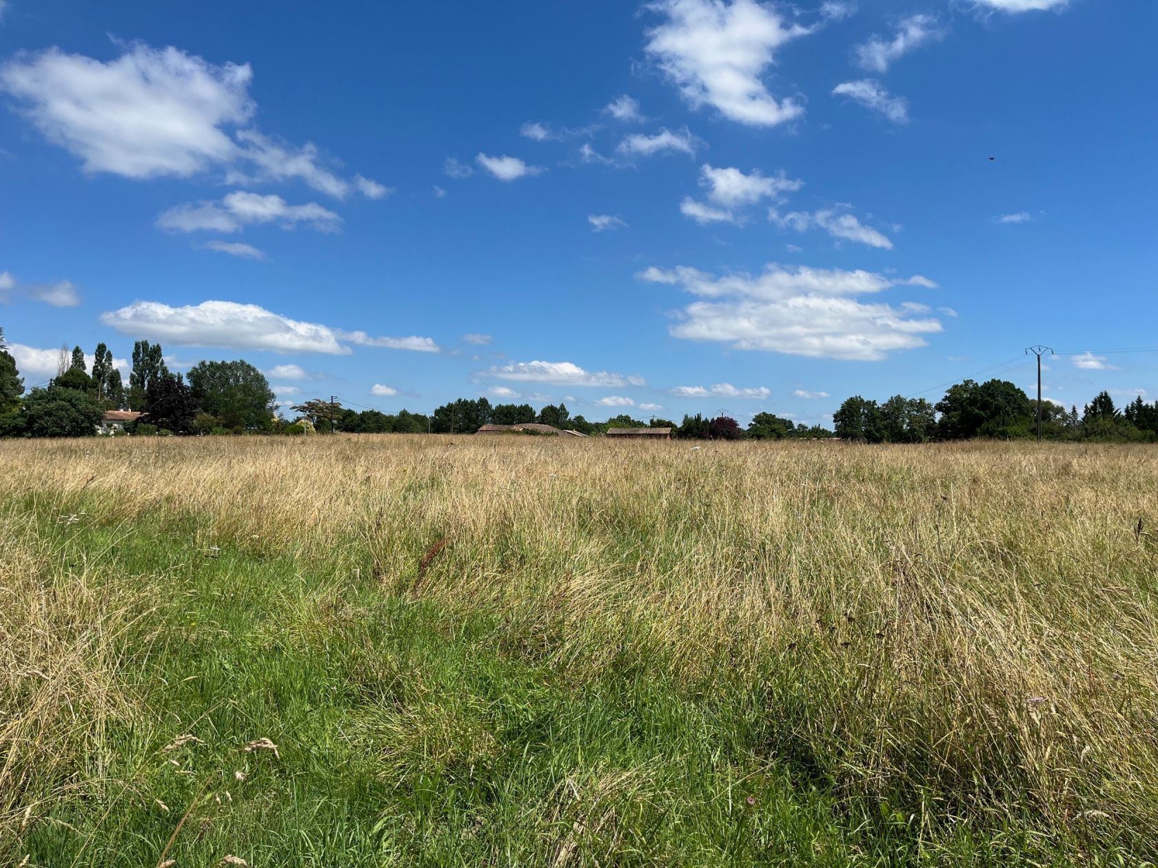 Très beau terrain constructible viabilisé à LADOS
