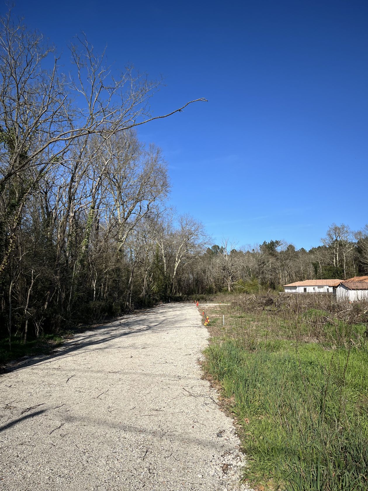 Offre de terrain à batir viabilisé en vente à SAINT-SELVE