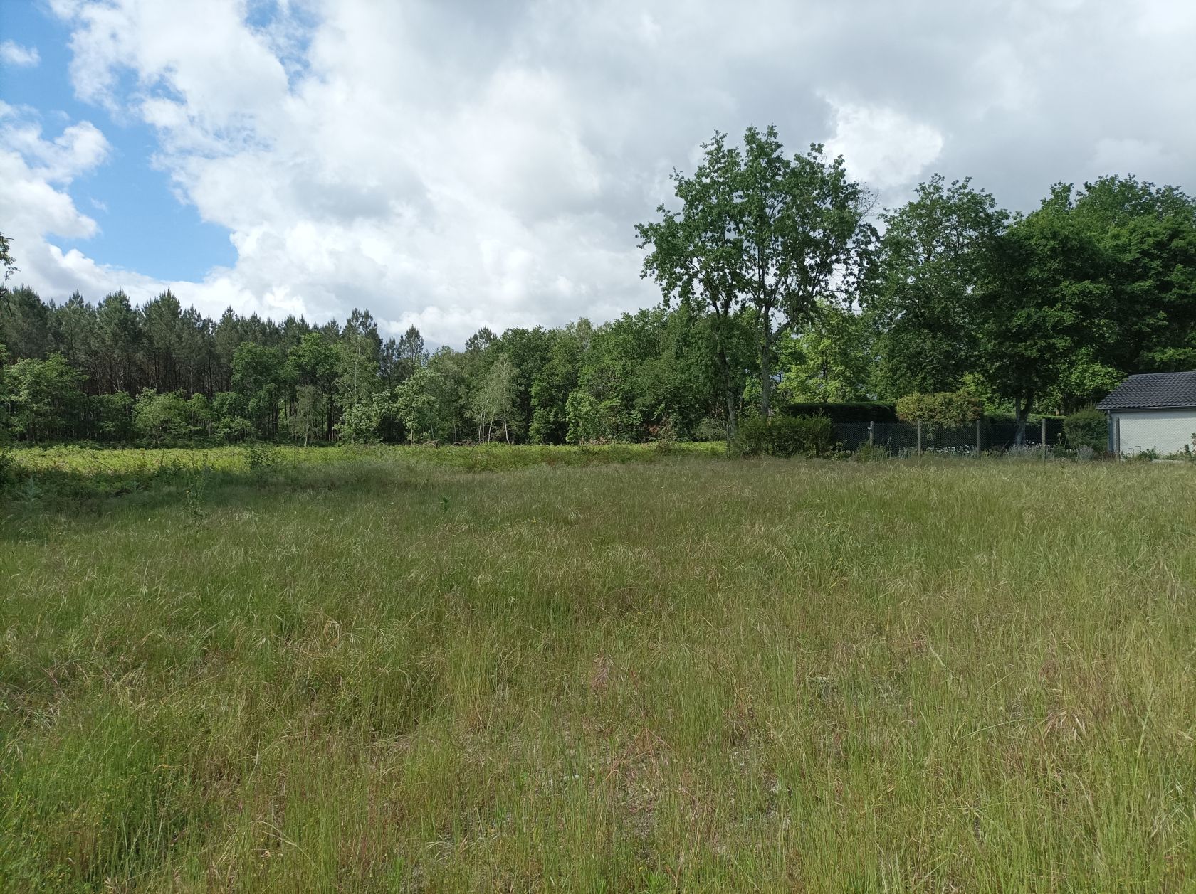 Acheter un terrain à construire viabilisé de 500m2 à MARTILLAC