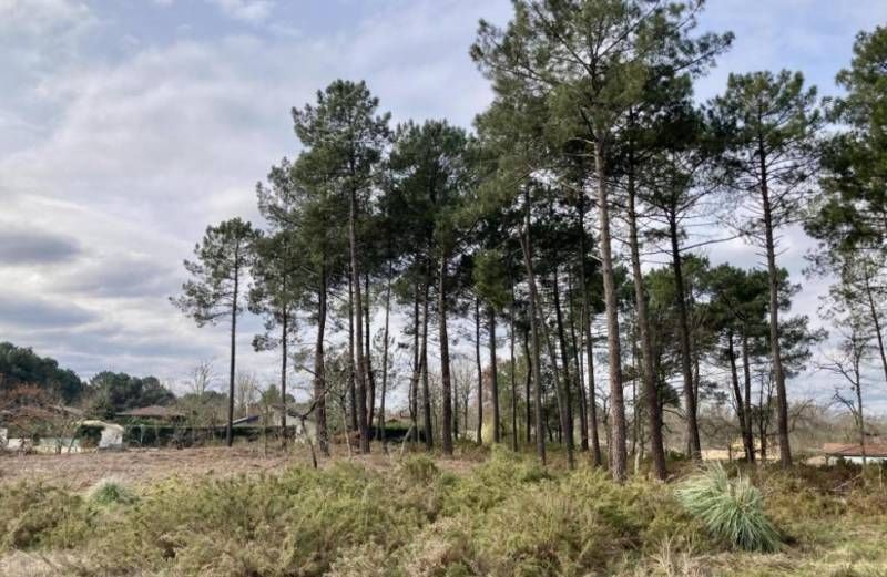 Joli terrain à construire de 1000m2 disponible à SAINT-AUBIN-DE-MEDOC (33160)