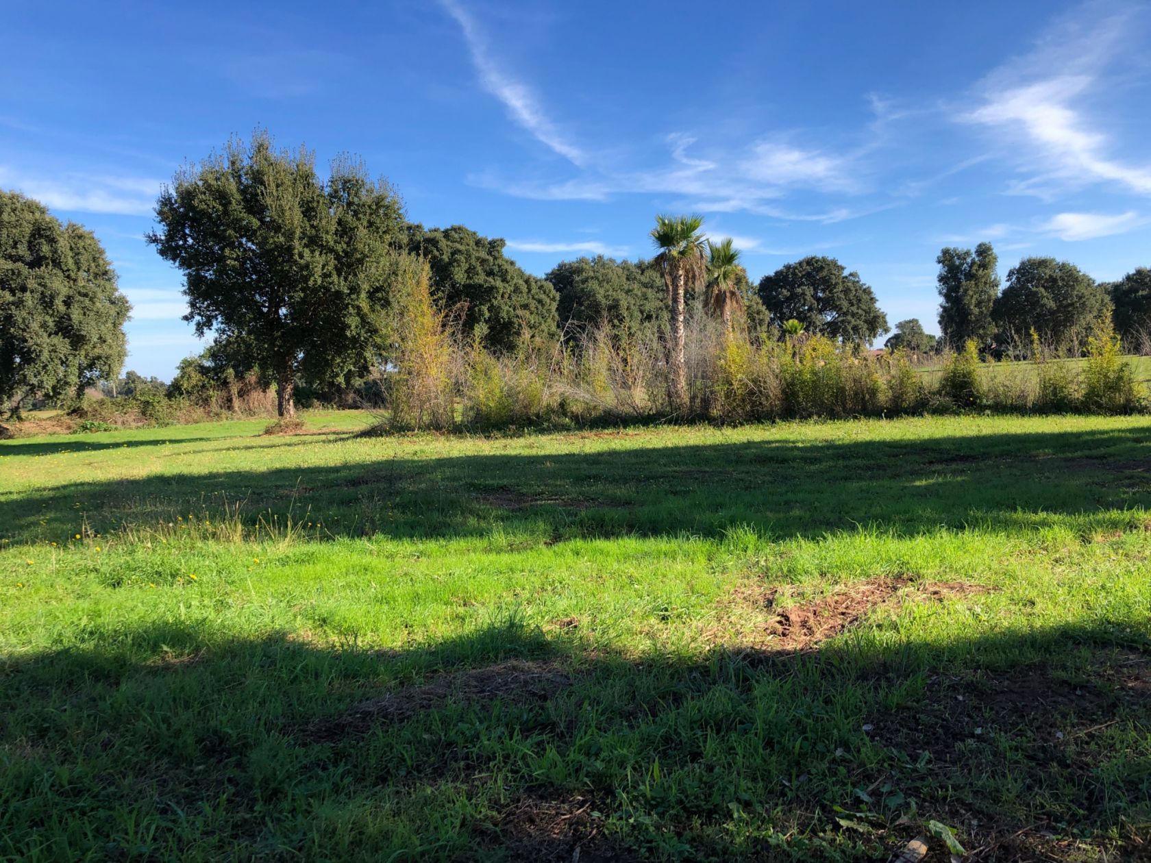 terrain à construire de 52m2 en vente à MARGAUX