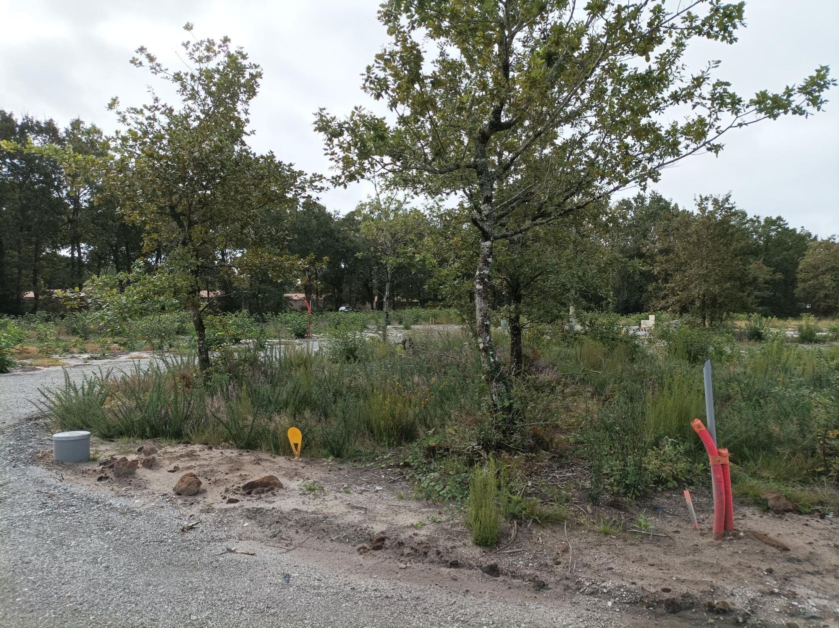 Terrain labouheyre 40 landes viabilise