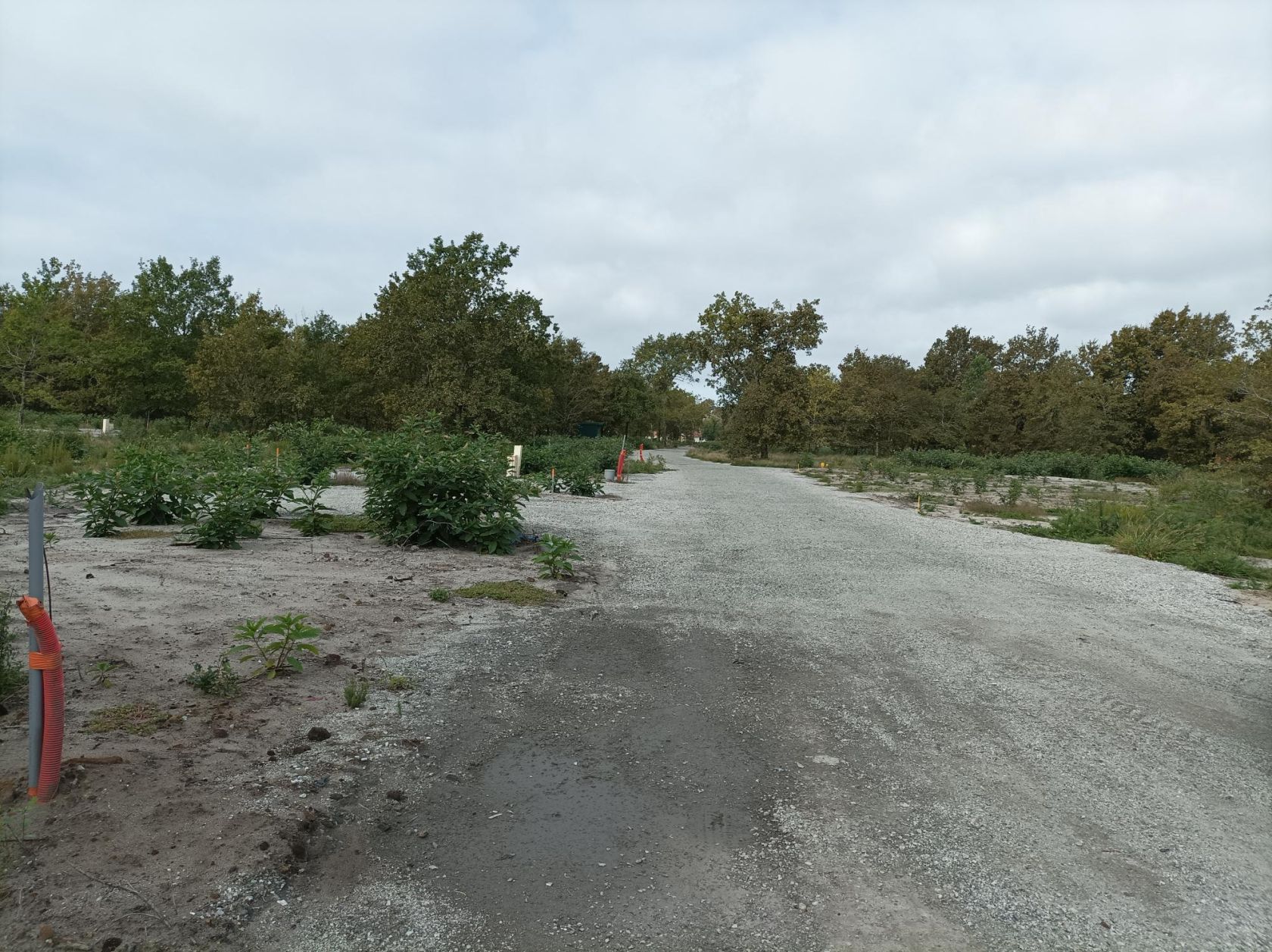 Terrain landes 40 labouheyre