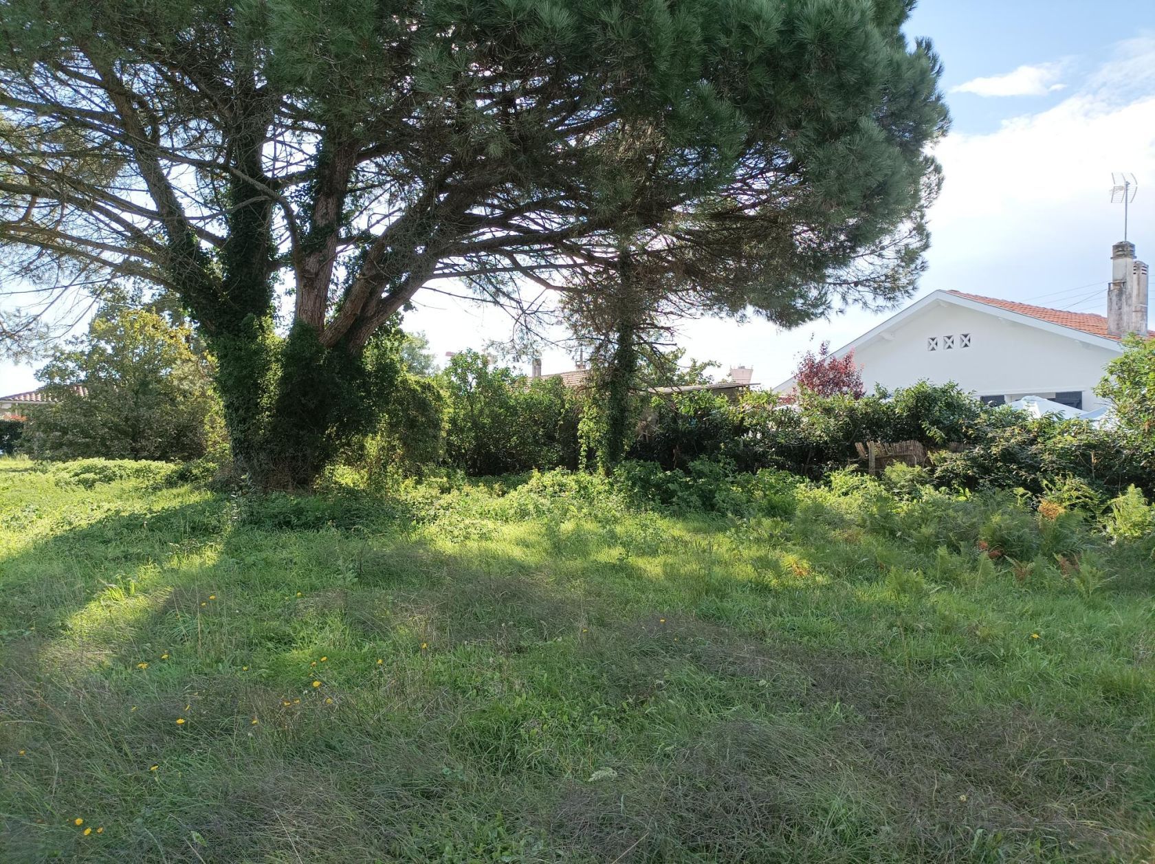 Img_20241009_110442