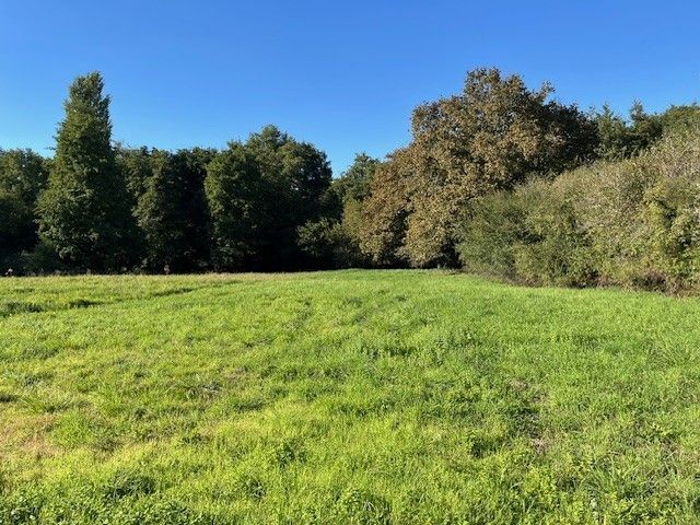 Bazas maisons lara langon