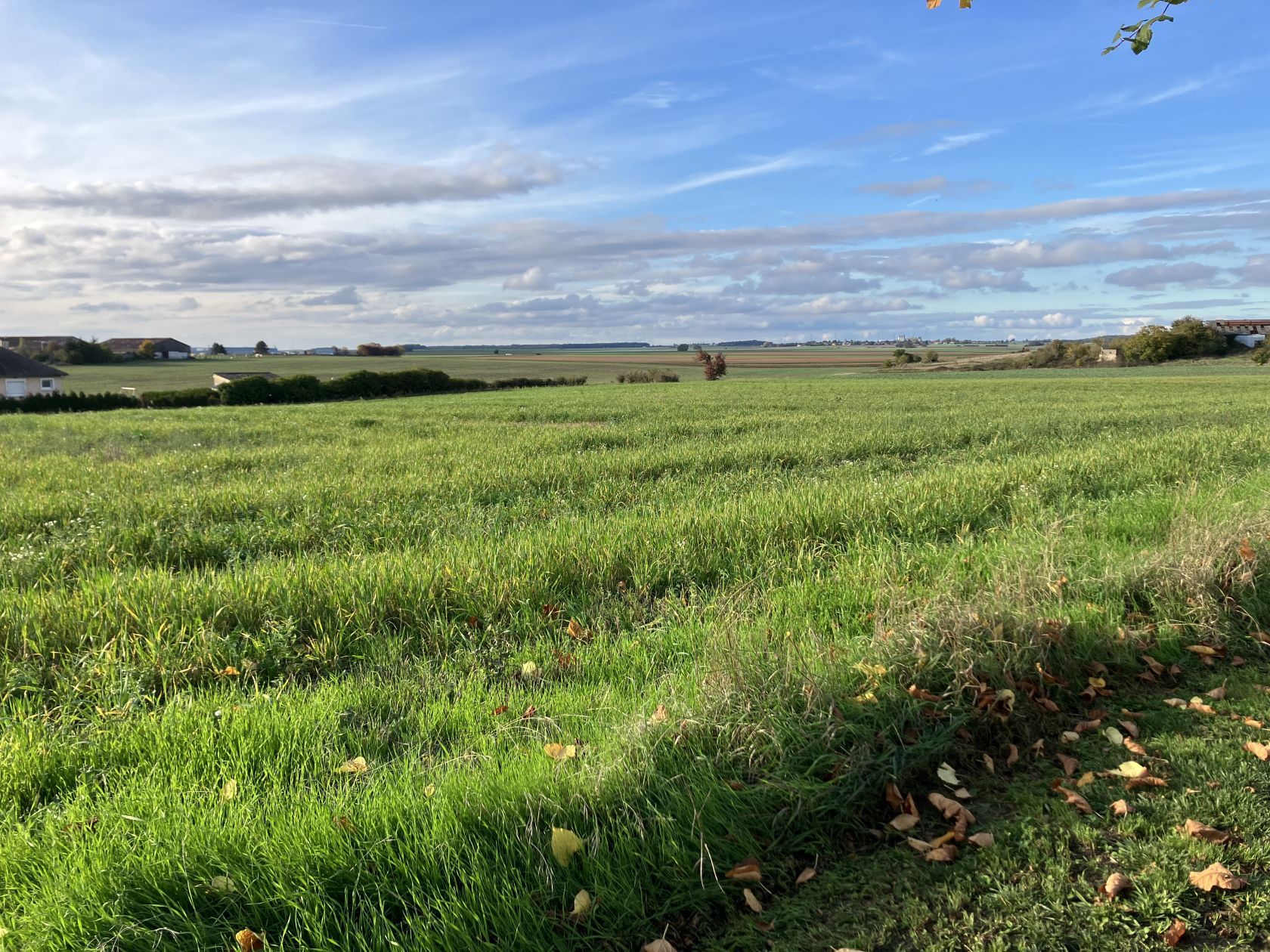 Offre de terrain à batir de 410m2 disponible à BOVES (80440)