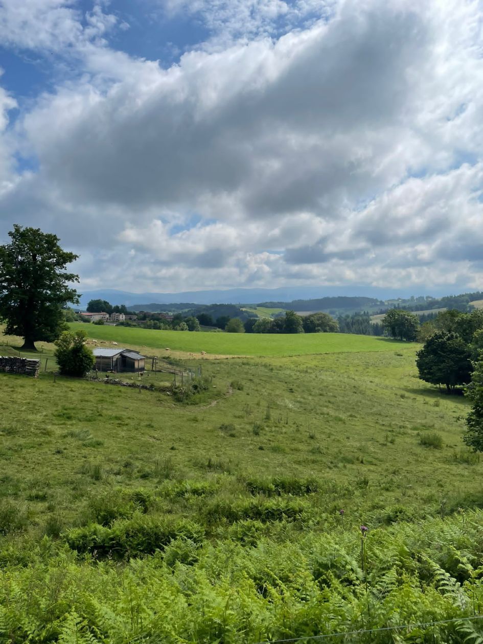 Ravissant terrain à vendre viabilisé de 2660m2 à NESLES-LA-VALLEE