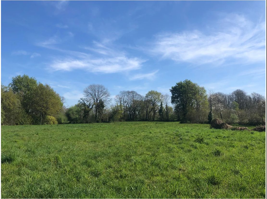 terrain à vendre en vente à BAYE (29300)