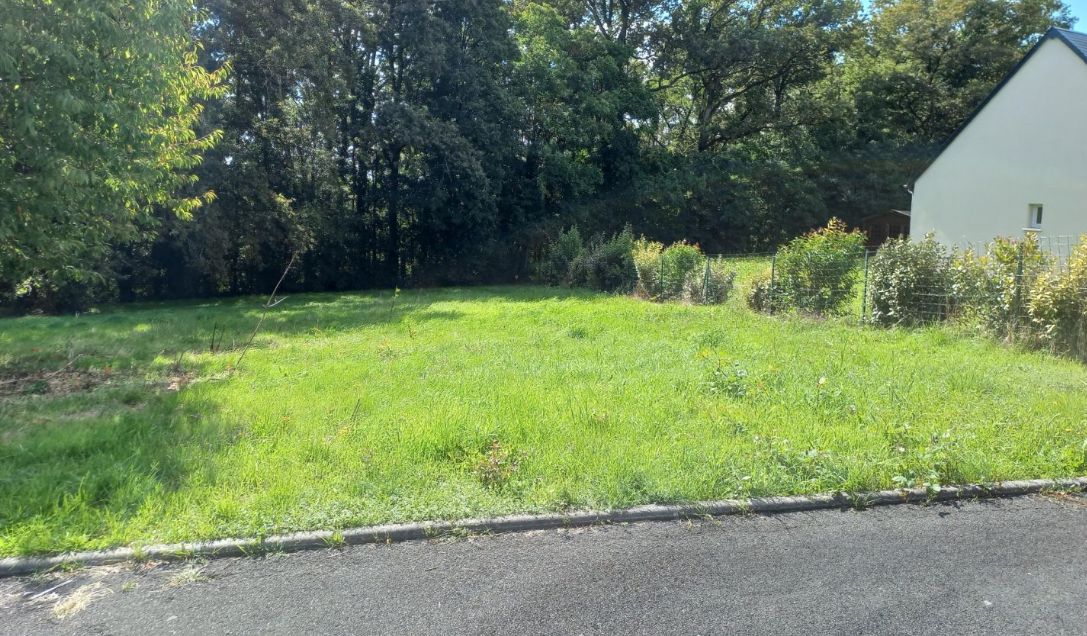 Parcelle de terrain à batir viabilisé en vente à CHATEAU-LA-VALLIERE