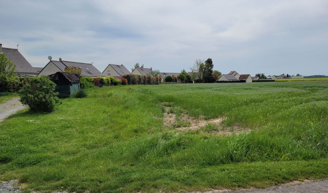 terrain viabilisé disponible à SAINT-LAURENT-EN-GATINES (37380)
