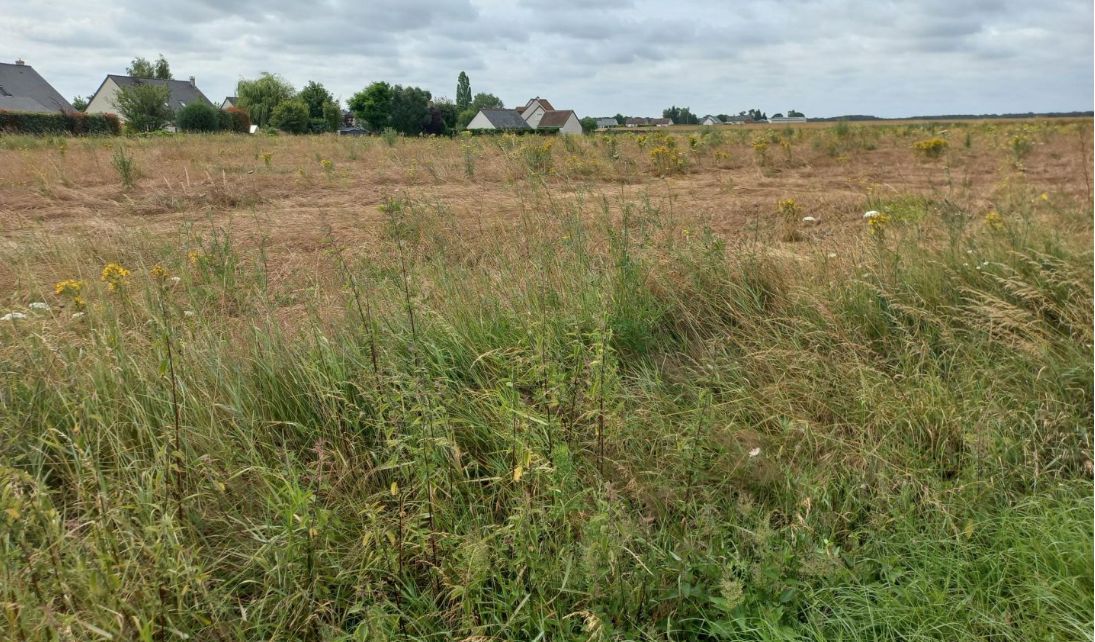 Acheter un terrain à batir en vente à SAINT-LAURENT-EN-GATINES (37380)