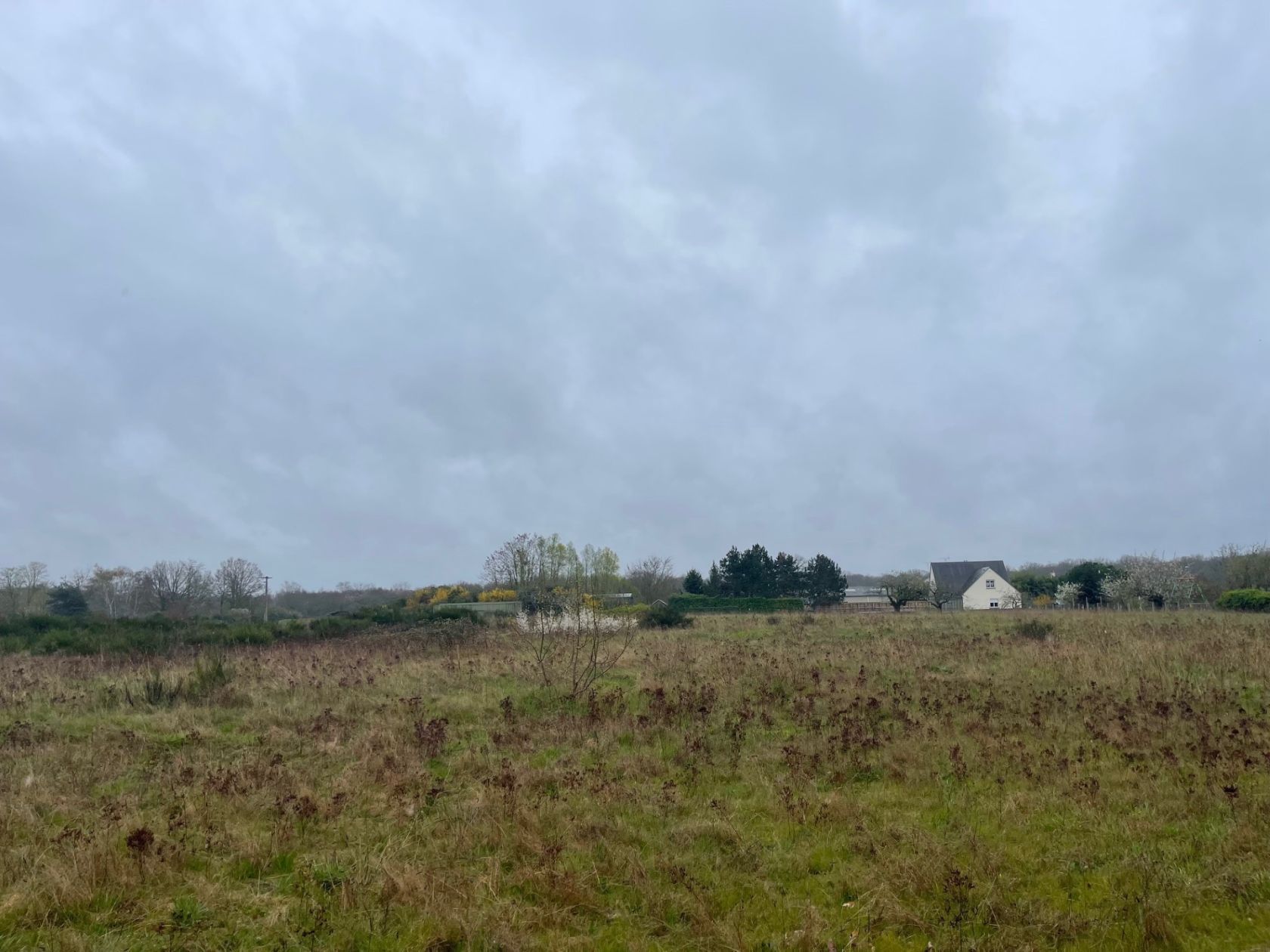 Agréable terrain viabilisé disponible à MEZIERES-LEZ-CLERY