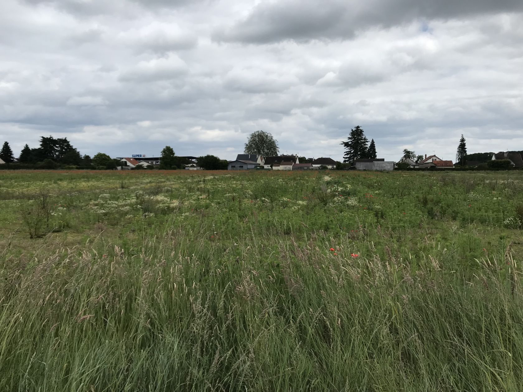 Joli terrain à vendre viabilisé à SAINT-PERE-SUR-LOIRE (45600)