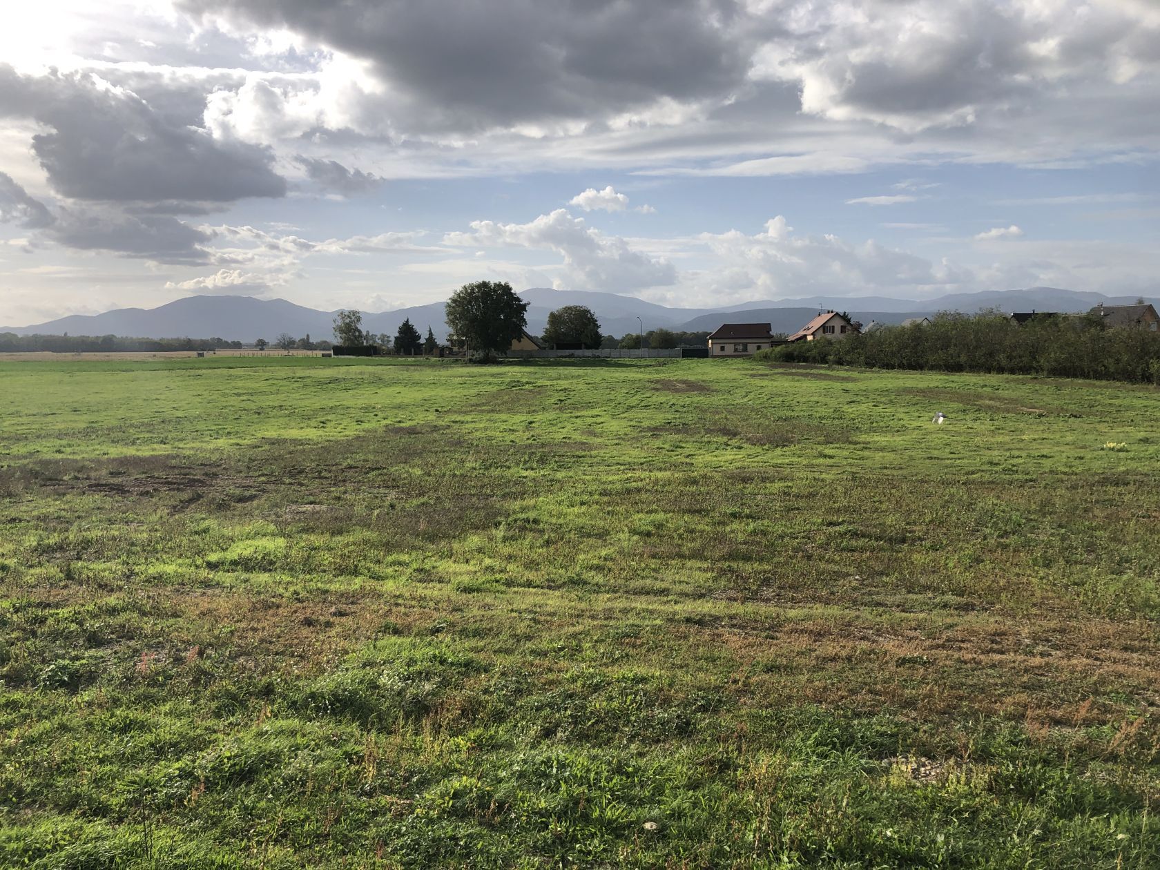 terrain viabilisé de 320m2 disponible à REGUISHEIM (68890)