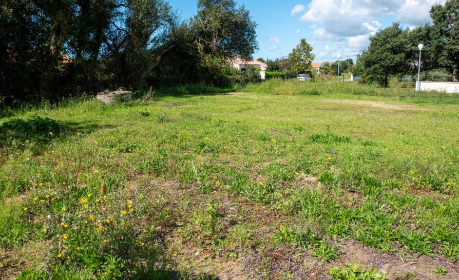 Offre de terrain à vendre viabilisé à BRETIGNOLLES-SUR-MER